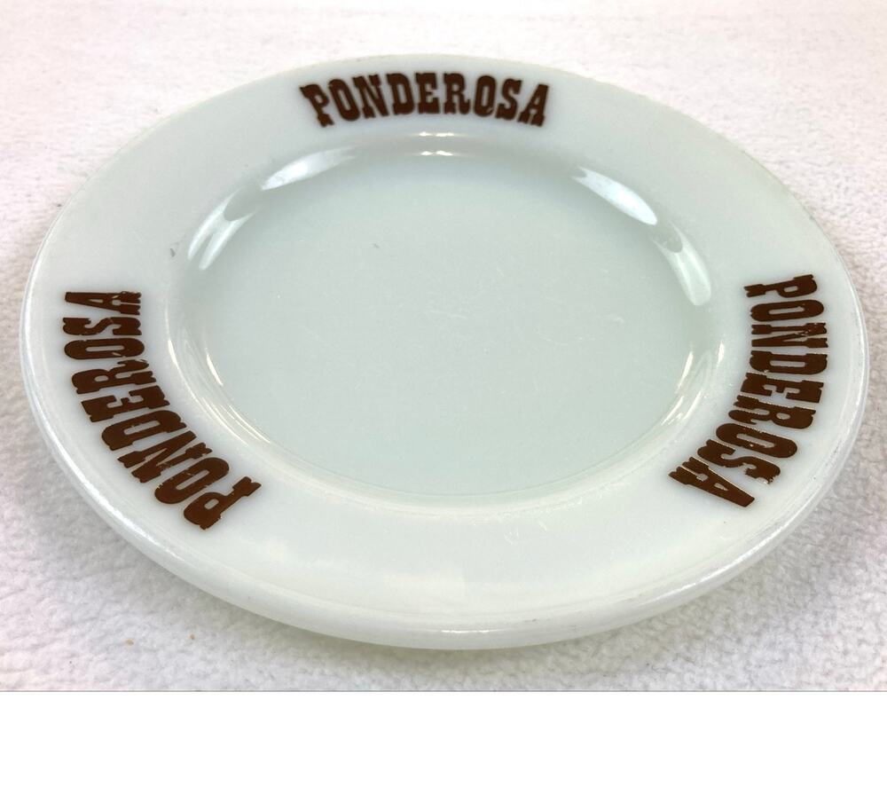 Pyrex Ponderosa Plate Side Dish Salad Bread Restaurant Ware Vtg